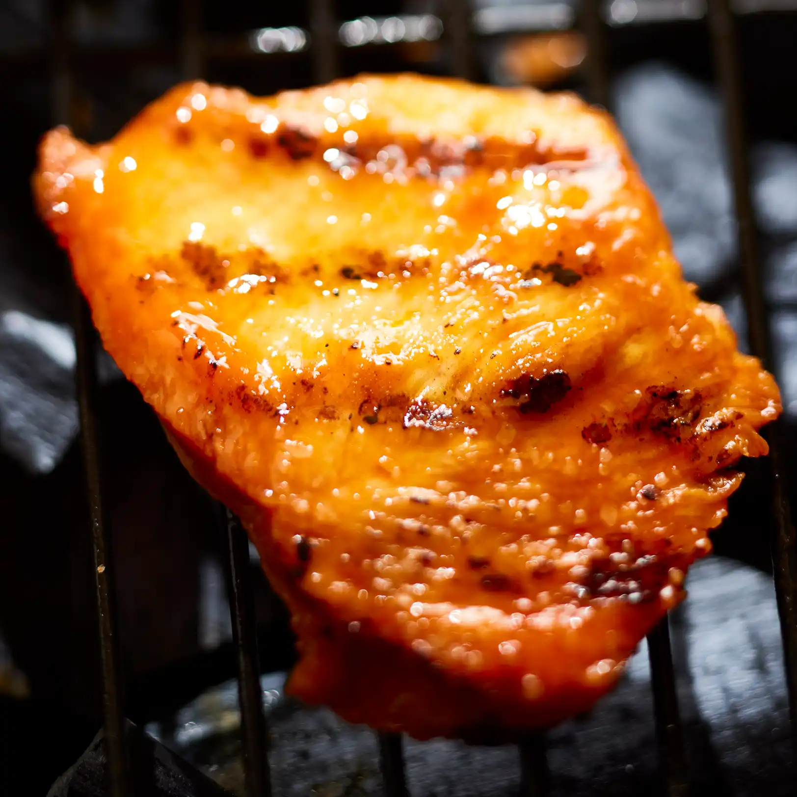 ‘KEEP BUGS OFF MY CHICKEN? HOW-TO KEEP BUGS AWAY FROM CHICKEN
